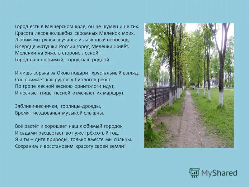 мещёра национальный парк. есть в мещерском крае. национальный парк мещера гусь-хрустальный. есть в мещерском крае. есть в мещерском крае.