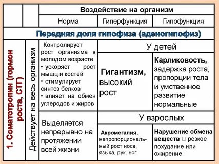 Таблица гиперфункция и гипофункция