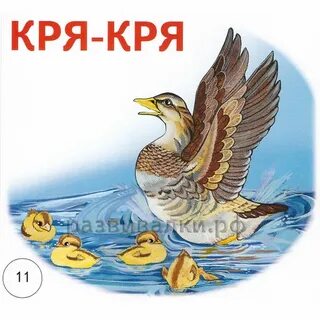 Звук кря