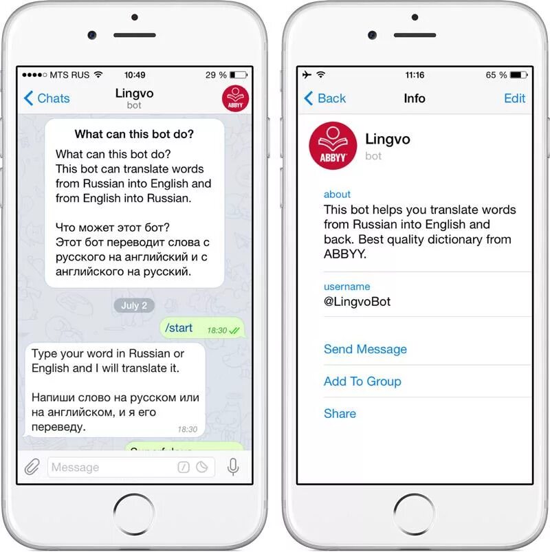 Username на русском языке. Бот переводчик. Бот переводчик в телеграмме. Перевод слова бот. Приложение которое переводит с английского.