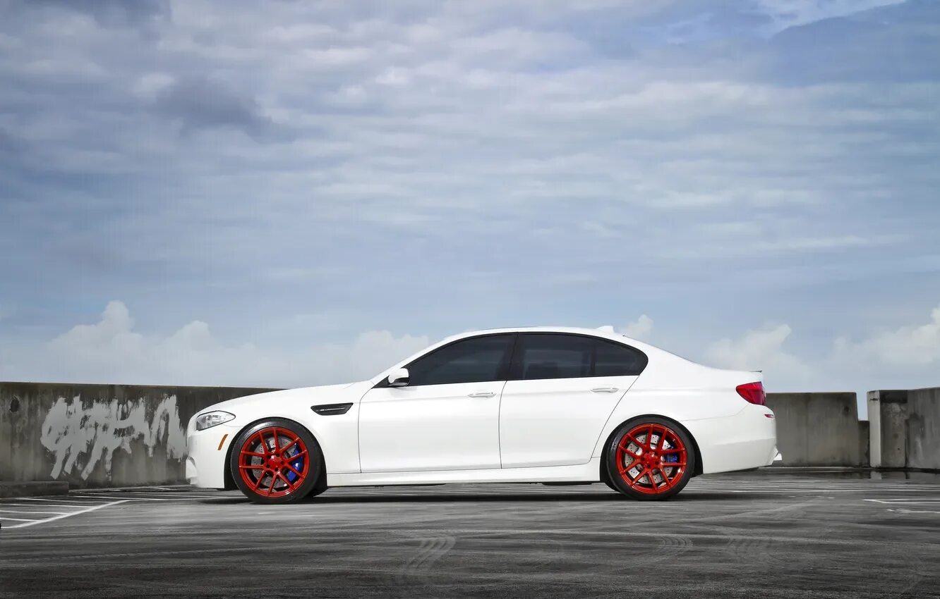 E63: тюнинг и обвесы (1) - BMW 6 series (E63), 3 л, 2008 года другое DRIVE2