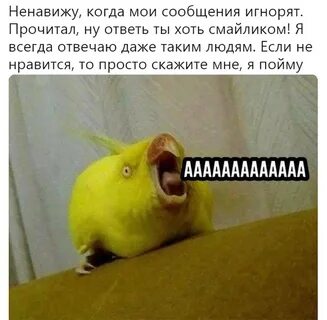 Песня алло привет салам лови мой телеграм