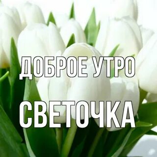 Песня светы доброе утро
