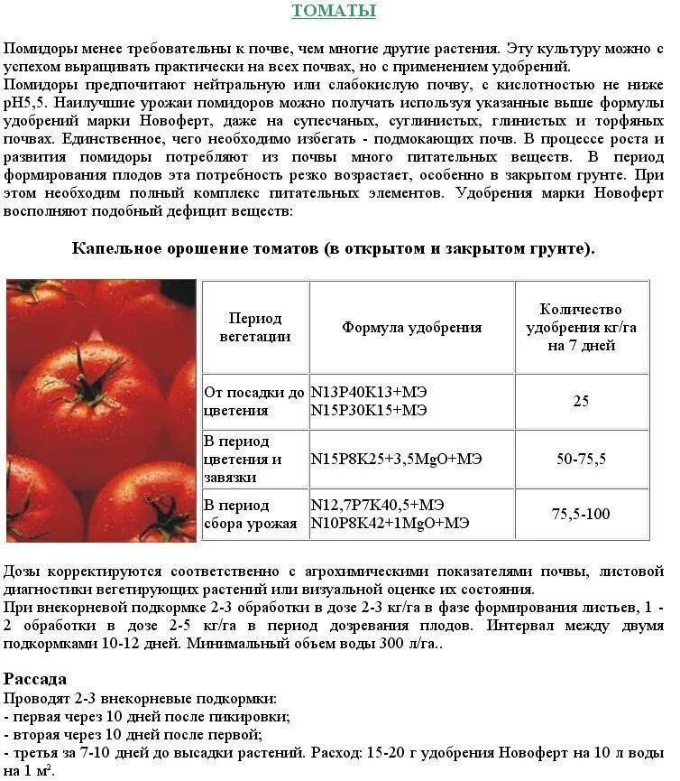 Сколько литров томата. Таблица подкормки томатов. Схема развития томатов. Стадии развития помидора. Томаты этапы развития.