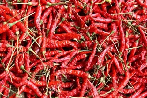 Red chilli