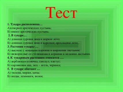 Тест по теме тайга 4 класс