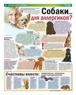 Мелкий список