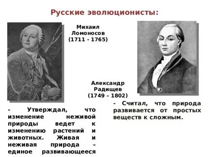 Ломоносова считают
