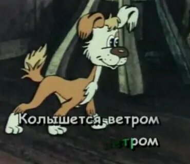 Шавка песня