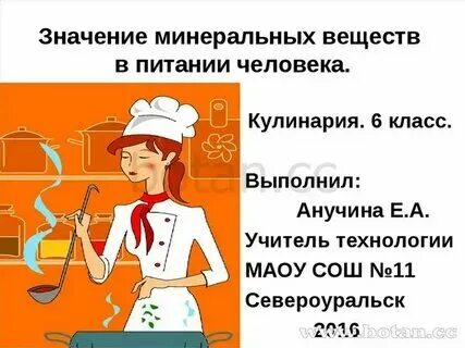 Технология 8 класс проект для девочек кулинария