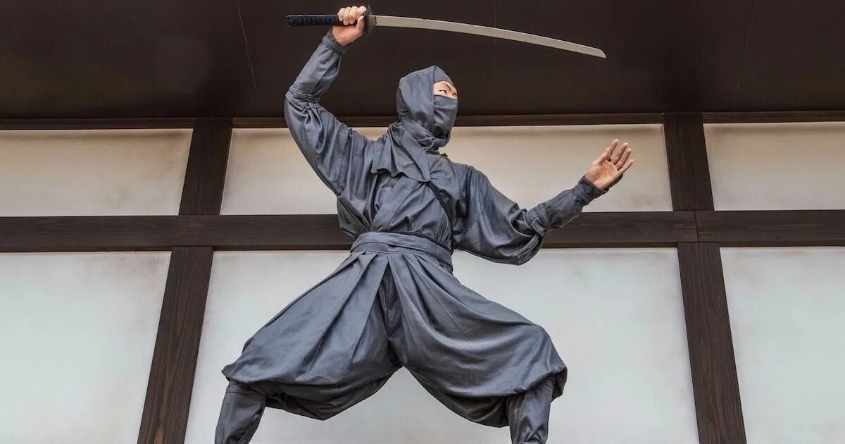 Катана ниндзя синоби. Ниндзя воин ночи. Ninja hattori in tamil. Ninja hattori. Главный ниндзя.