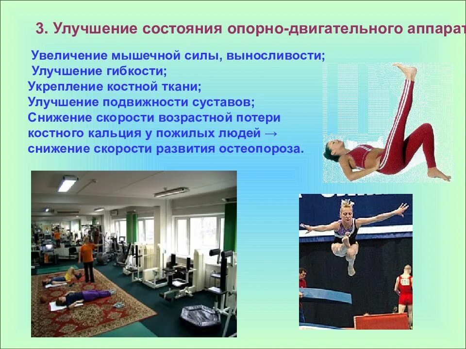 Упражнения для опорно двигательной системы. Роль двигательной гимнастики. Роль двигательной гимнастики. Роль двигательной гимнастики. Двигательная деятельность.