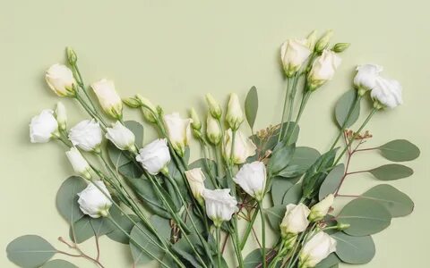 Белые розы сибирские тюльпаны