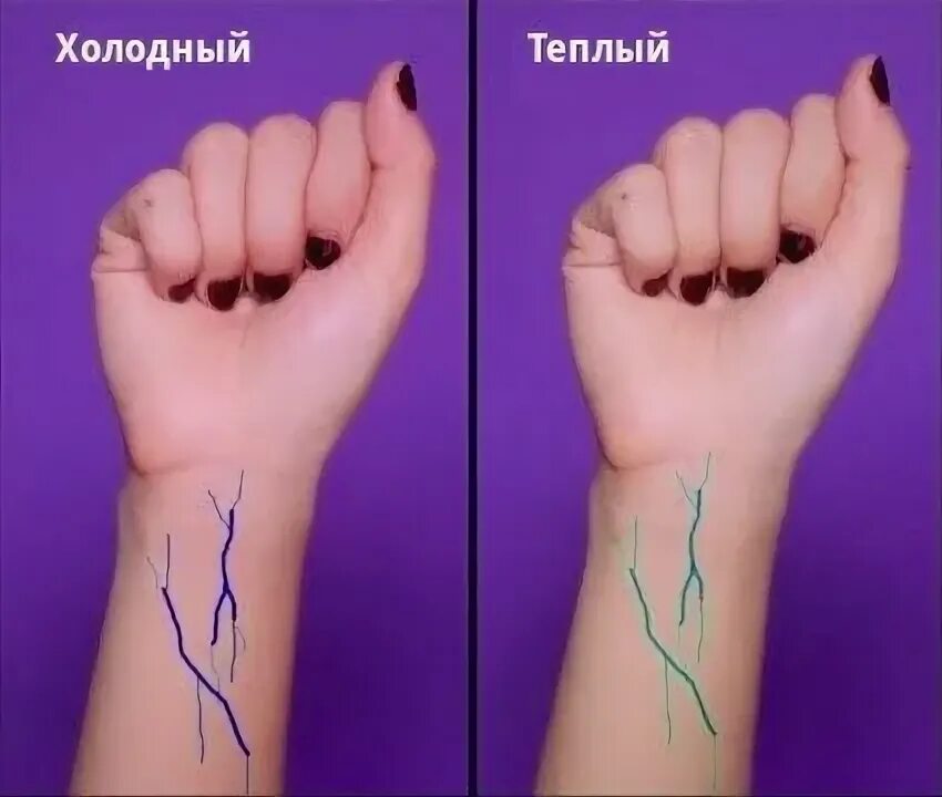 Как определить по венам цветотип. Как определить по венам цветотип