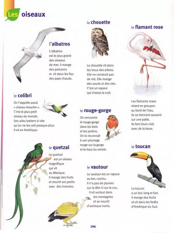 Un oiseau l oiseau. Птицы на французском языке. названия птиц на французском. птицы на французском языке с переводом. oiseau в предложениях.