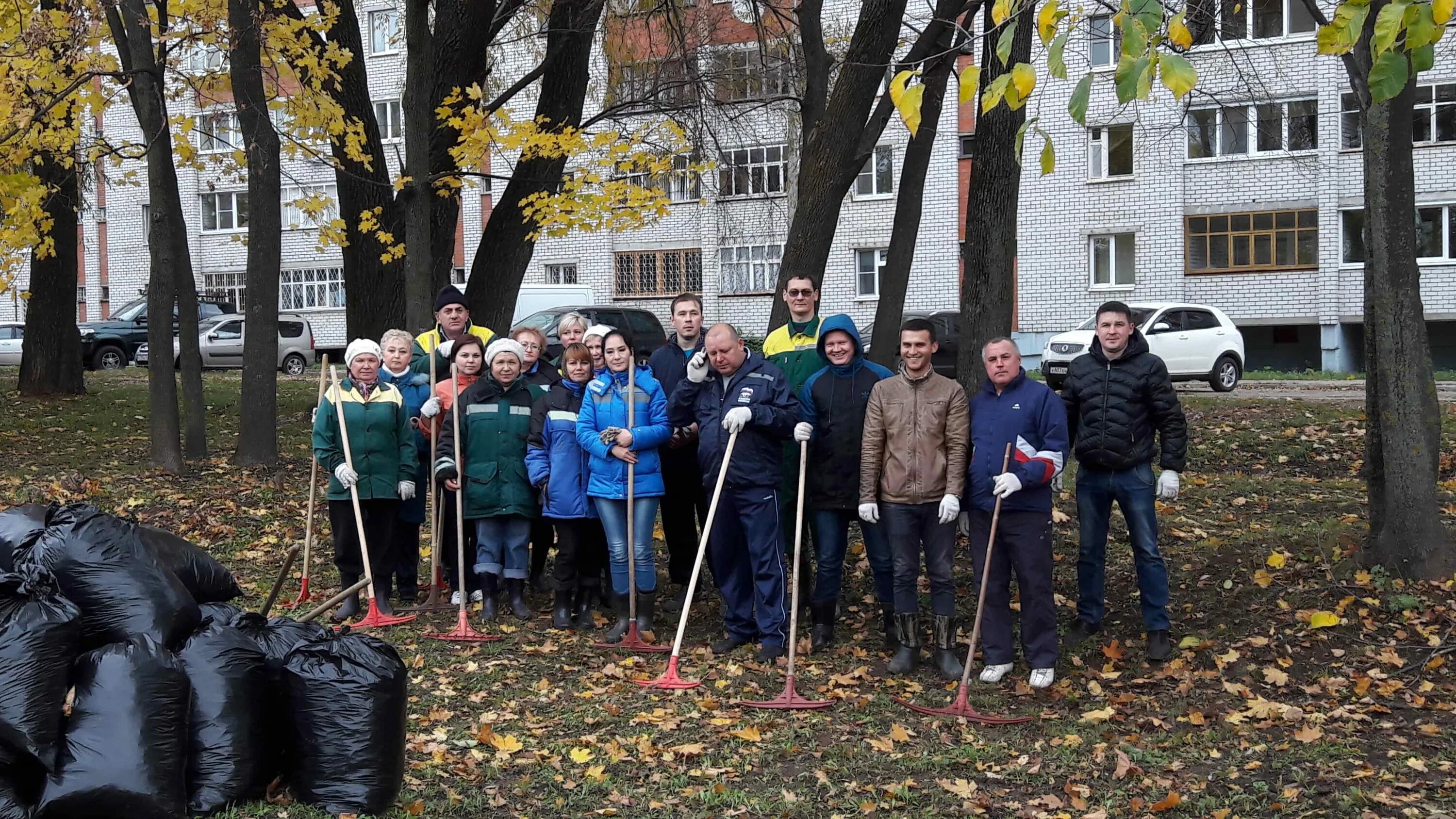 МБУ Зеленстрой Тольятти. Директор Зеленстрой Курск. МБУ Зеленстрой Тверь.