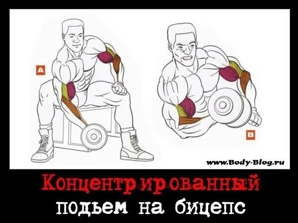 Мсмк на бицепс. Подходы на бицепс с гантелями. таблица для качания бицепса. качаем бицепс подходы. сколько нужно качать бицепс.
