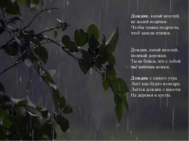 В течение всей ночи лил дождь. Дождик капает. Дожди: стихи. Дождик Капай веселей не жалей. Стихотворение про дождь.