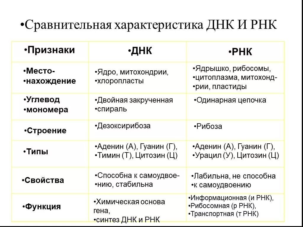 Дайте сравнительную характеристику днк и рнк. Сравнительная характеристика днк и рнк таблица 10 класс. различия днк и рнк таблица. сходства днк и рнк таблица 10 класс. функции днк и рнк таблица.