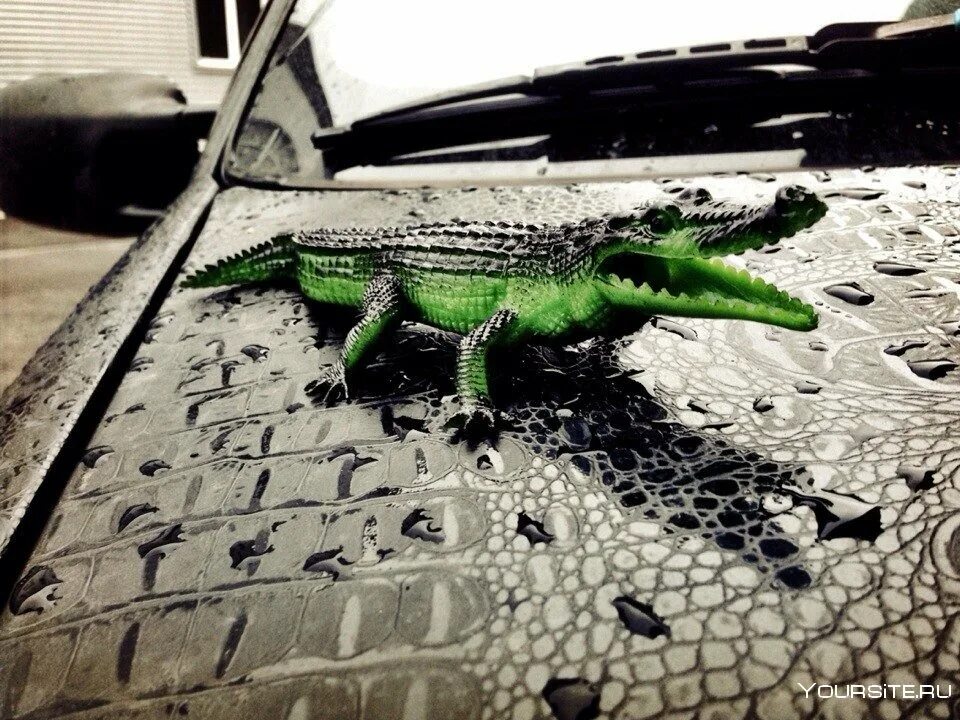 Бронебойные авто крокодил. Крокодилы для авто. Крокодил в автомобиль игрушка. Машина крокодил. Марка машины аллигатор.