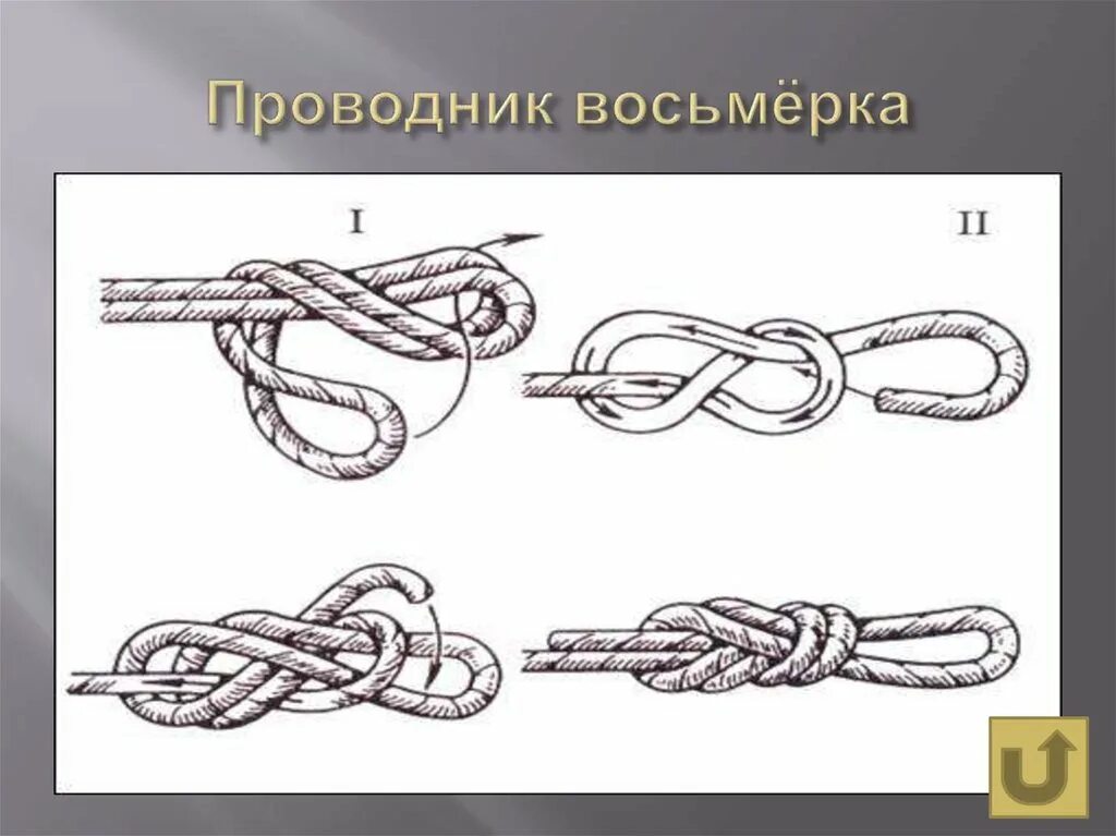 Австрийский проводник узел. Как сделать проводник. Узел проводник восьмерка схема вязания. Туристические узлы двойной проводник узел. Схема вязки узла австрийский проводник.