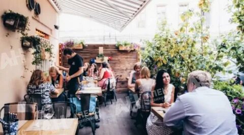 Veranda wine club ул дохтурова 7 фото