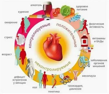 Причины болезни сердца