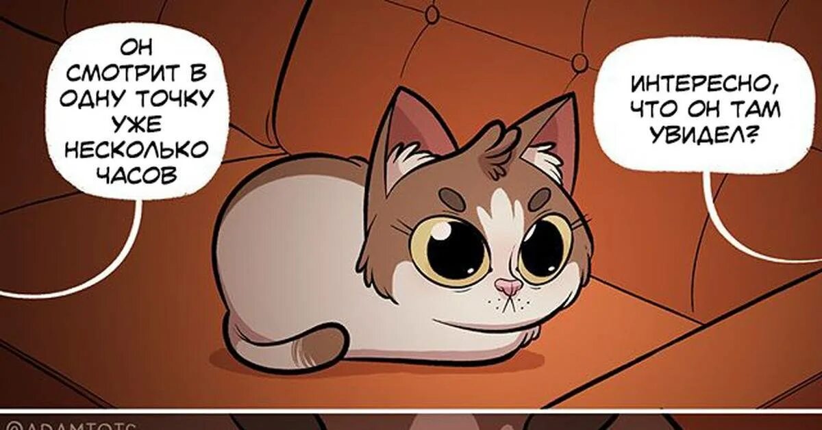 1 кот и точка. Кот уставился в стену. кот уставился в одну точку. кот смотрит в стену. коты смотрят в точку.