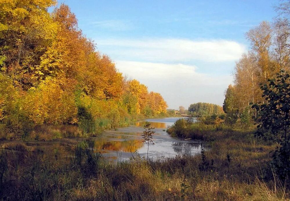 Бабье лето йошкар ола. Бабье лето йошкар ола. Бабье лето некрасов. Бабье лето йошкар ола. Лавочки йошкар ола.