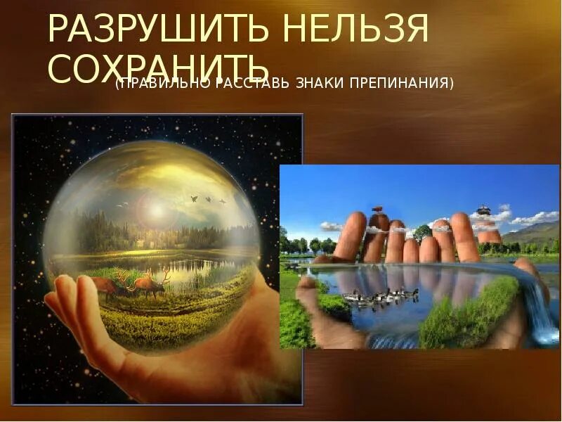 Биосфера. Урок географии 6 класс биосфера сфера жизни. Урок географии 6 класс биосфера сфера жизни. Урок географии 6 класс биосфера сфера жизни. Презентация биосфера сфера жизни 6 класс география полярная звезда.