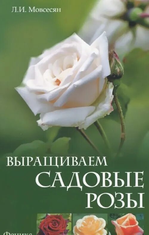 Розы для срезки в саду. Розарий для срезки. Книги о выращивании роз обложки для книги. Выращиваем любимые розы. Цветок в горшке в руках.