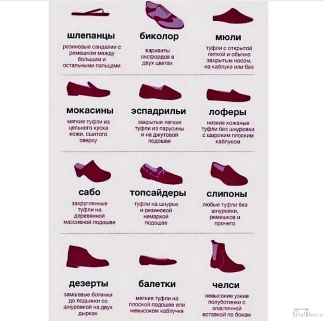 Виды сапог женских. Виды сапог женских