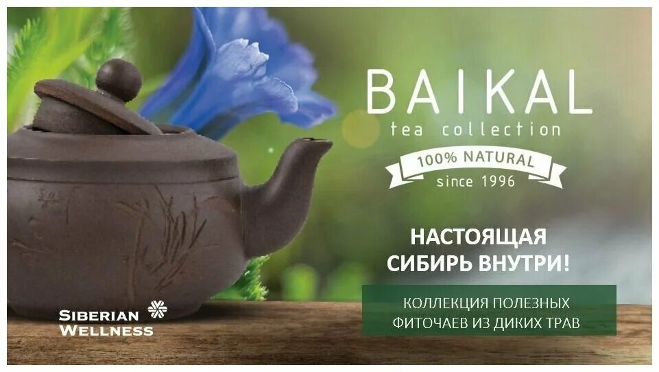Фиточай очищение и дренаж. Чай siberian wellness baikal. фиточай набор сибирское здоровье. чайный набор сибирское здоровье. чайный набор baikal tea collection.