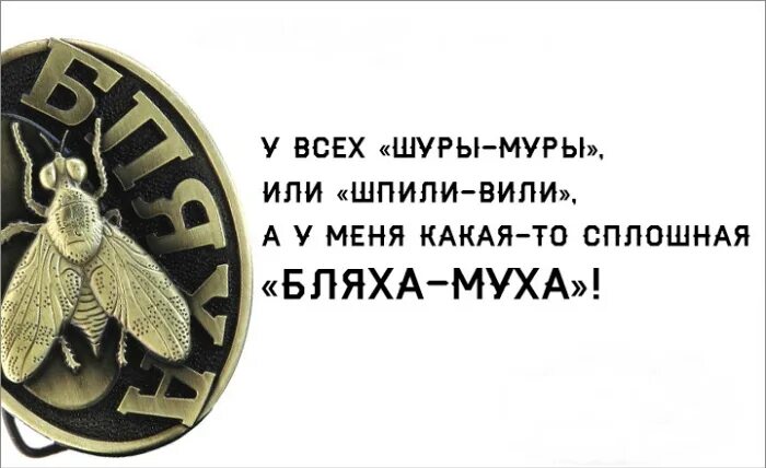 Песня бляха муха на юбилей женщине текст. Песня бляха муха на юбилей женщине текст. Бляха муха. Песня переделка на юбилей бляха муха. Поздравление бляха муха слова.