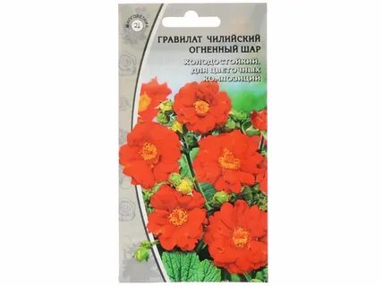 Гравилат чилийский семена