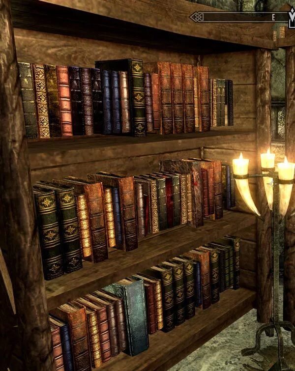 Книги Скайрима. Библиотека скайрим. Skyrim книга. Библиотека фэнтези. Skyrim library