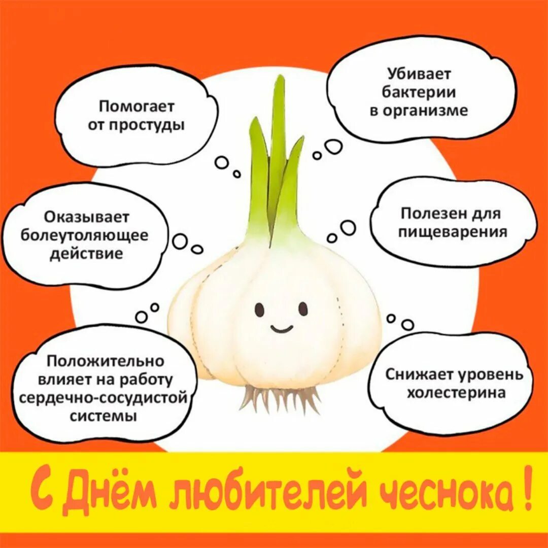 День чеснока 6 октября. Чеснок польза. День любителей чеснока 6 октября. Полезен чеснок для.организма. После 6 октября