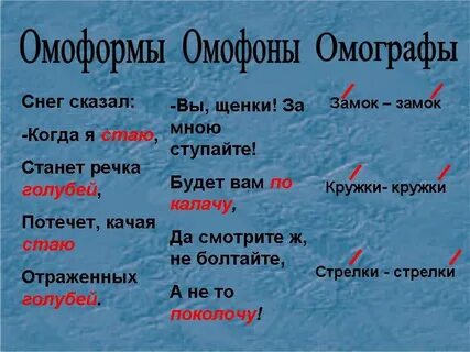 Слова омофоны