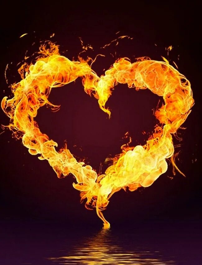 Сердце кипит. Огненное сердце. Красивое сердце. Сердце в огне. Пламенное сердце.