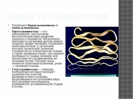 Геогельминты