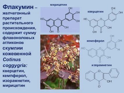 Вещества растительного происхождения