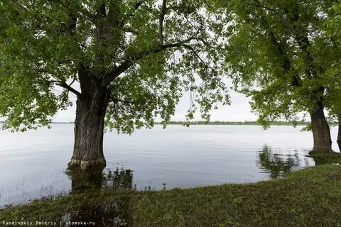 Сброс новосибирского водохранилища