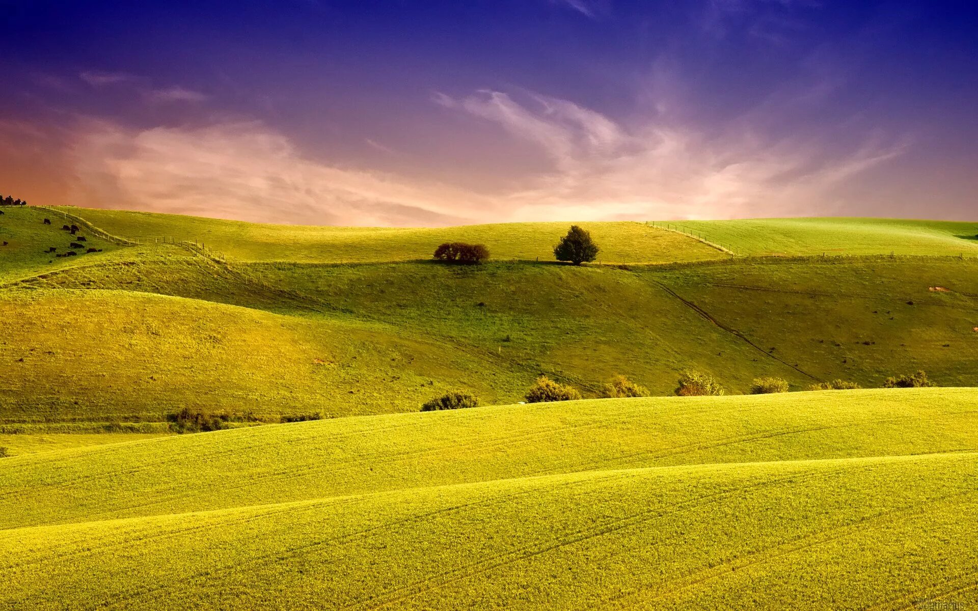 Green Hills зеленые холмы. Холмистая равнина Тоскана. Холмистый пейзаж. Пейзаж холмы. Паш щий поле