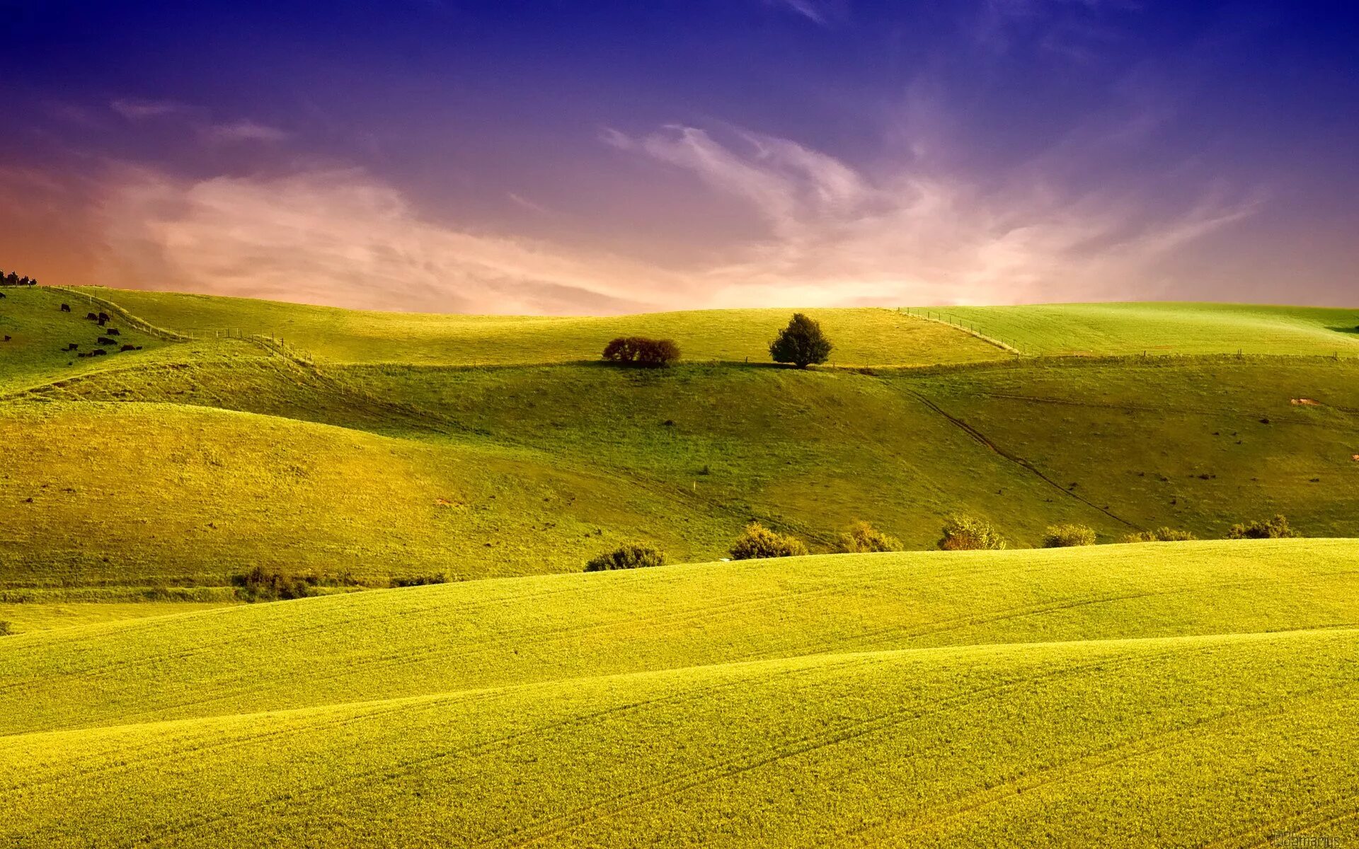 Green Hills зеленые холмы. Холмистая равнина Тоскана. Холмистый пейзаж. Пейзаж холмы. Поле берг