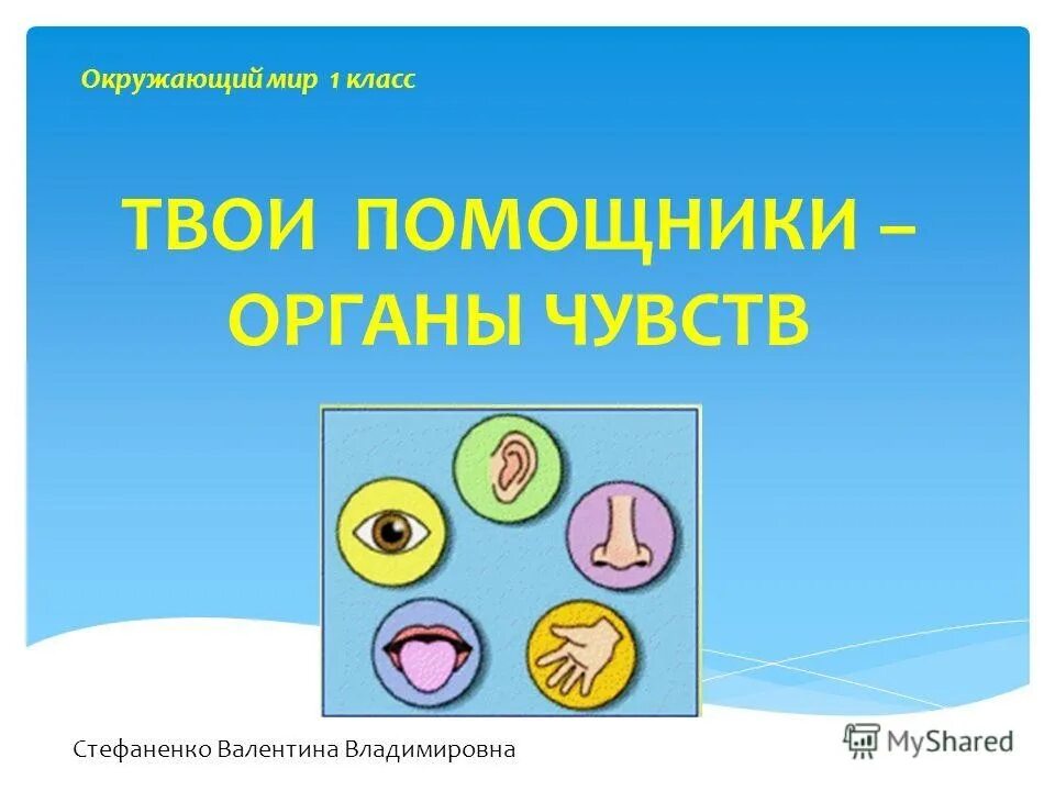 Органы чувств 3 класс окружающий мир. Окружающий мир органы чувств. 5 органов чувств человека. 5 органов чувств человека. Органы чувств.