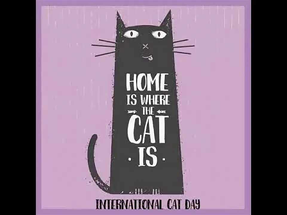 My cat all day. My cat all day
