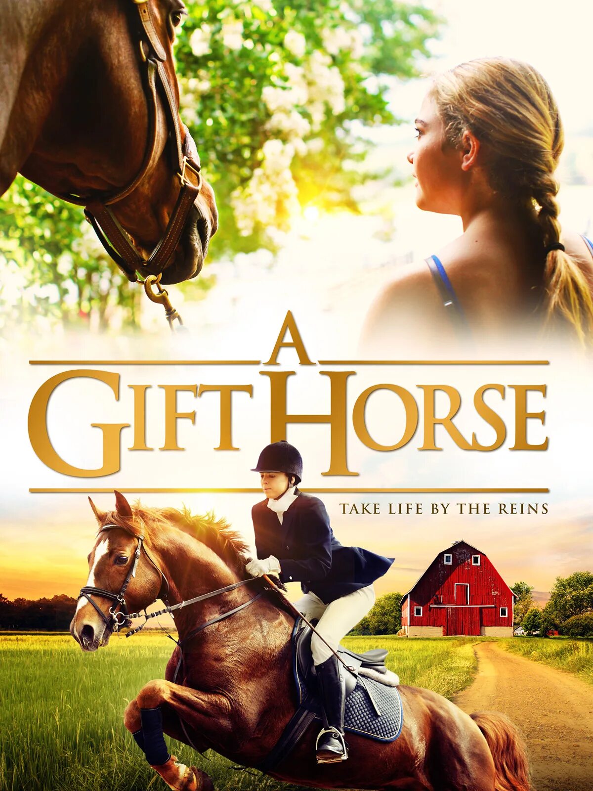 Дарёному коню в зубы не смотрят. Horse proverbs. Лошадка-качалка clayre eef, 34см. Look a gift horse in the mouth. Гифт хорс фильм.