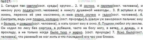Русский язык 5 класс учебник упр 317