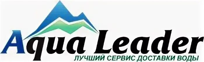 Компания лидер отзывы