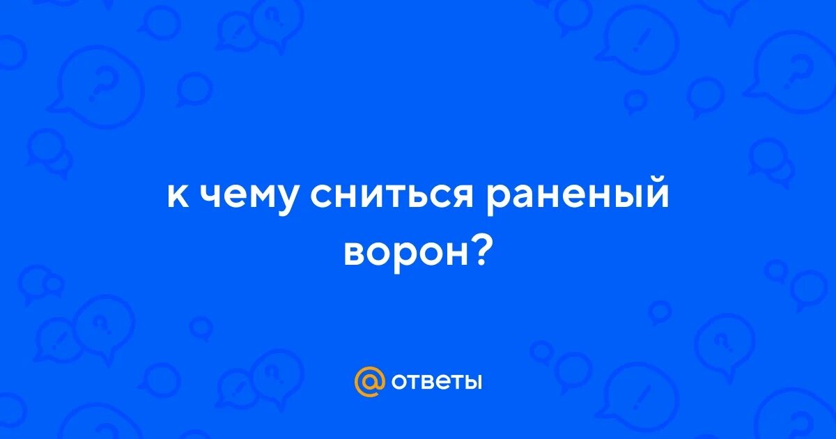 Летаргический сон причины. К чему снится собака просит помощи. Мне снился сон. Сонник кошка. Что если мне тся человек.